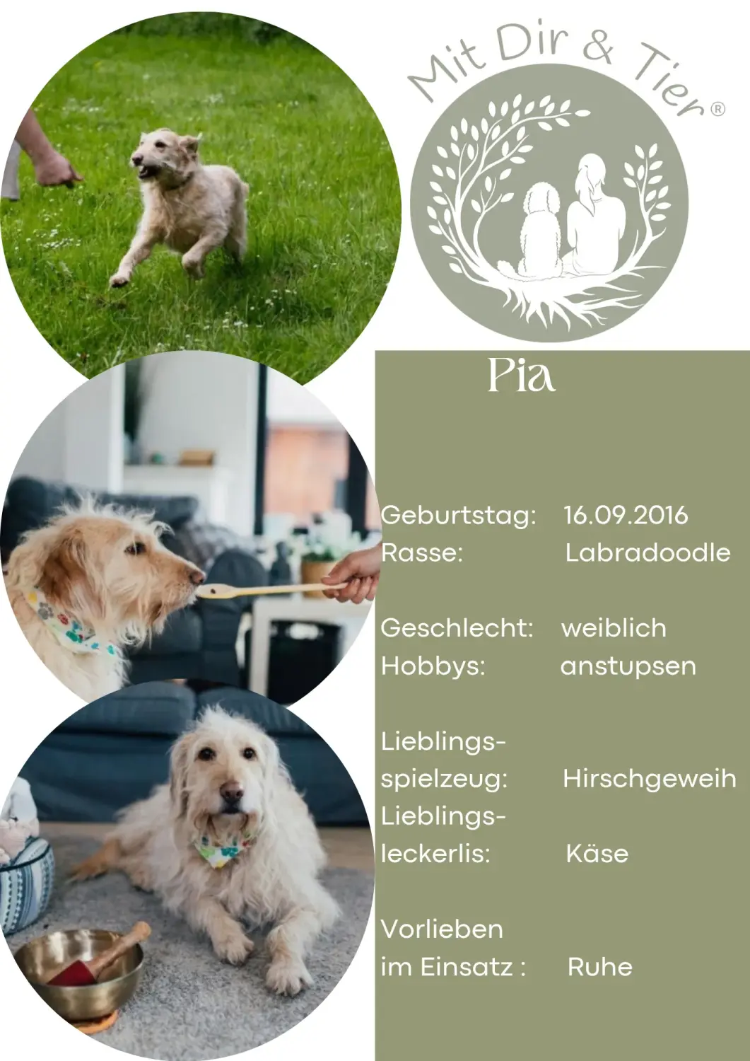 Pia von Mit Dir & Tier