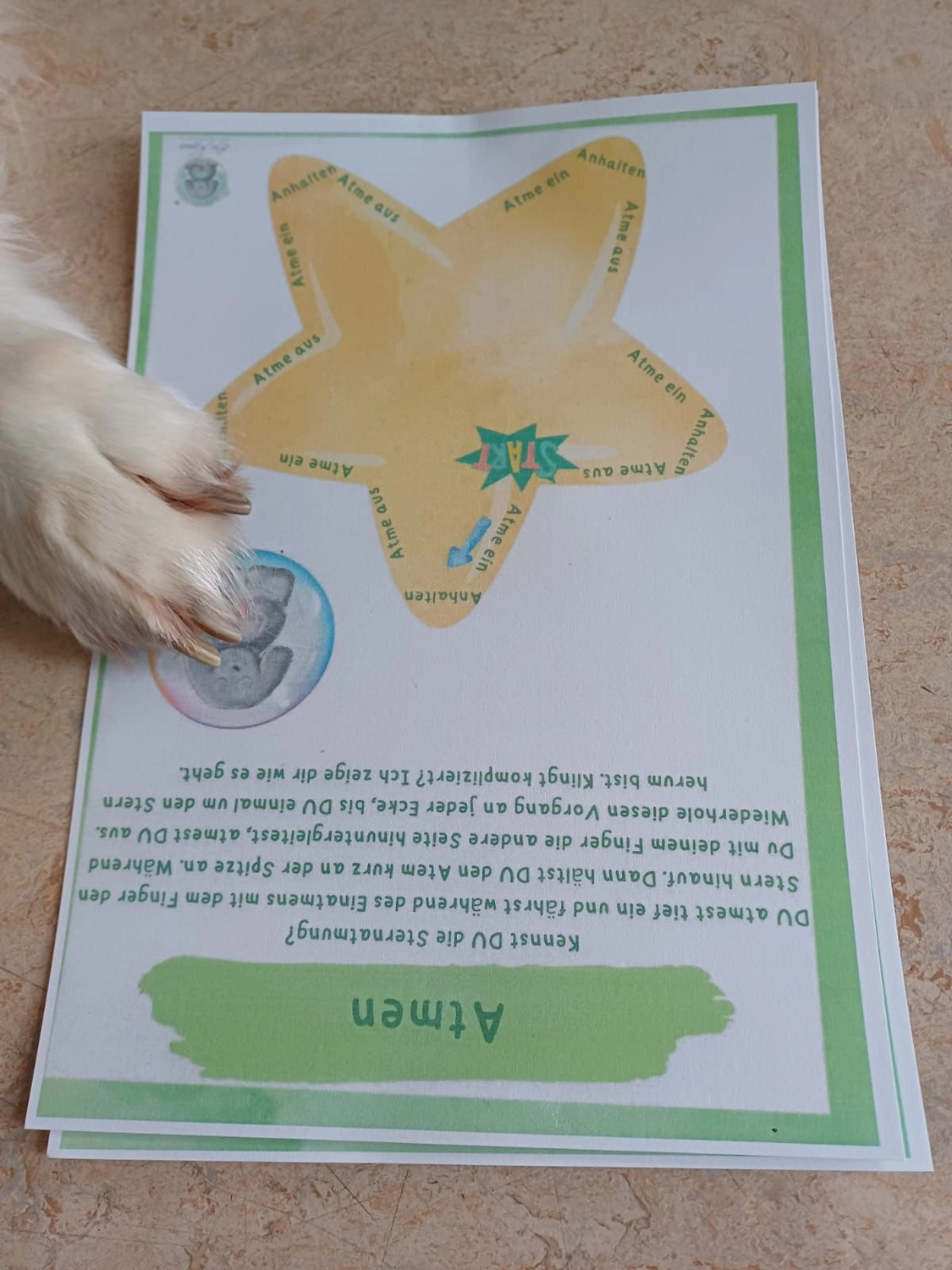 LaKuna Herzenszaubertraining Kurs