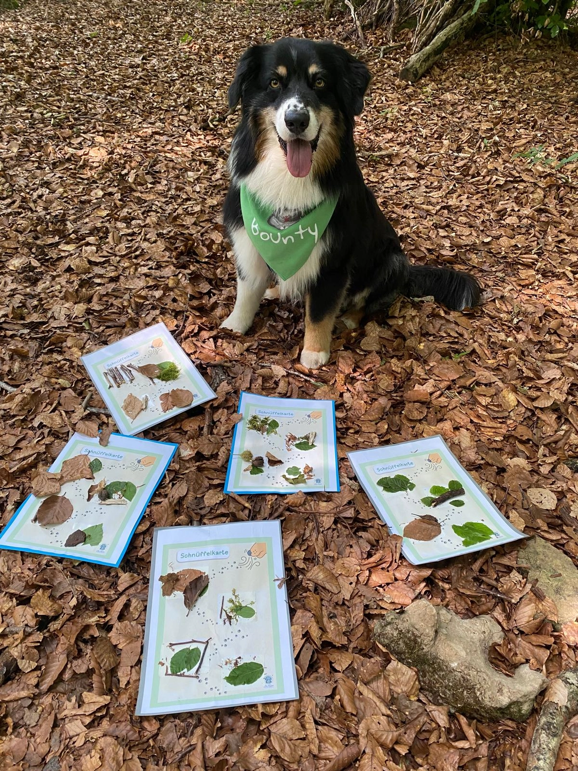 LaKuna Herzenszaubertraining Kurs