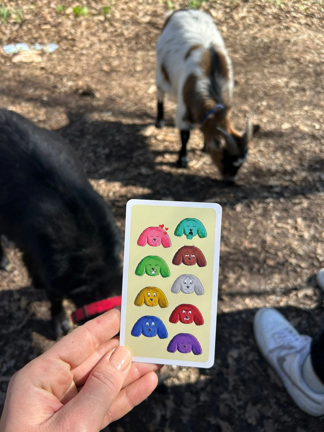 LaKuna Herzenszaubertraining Kurs