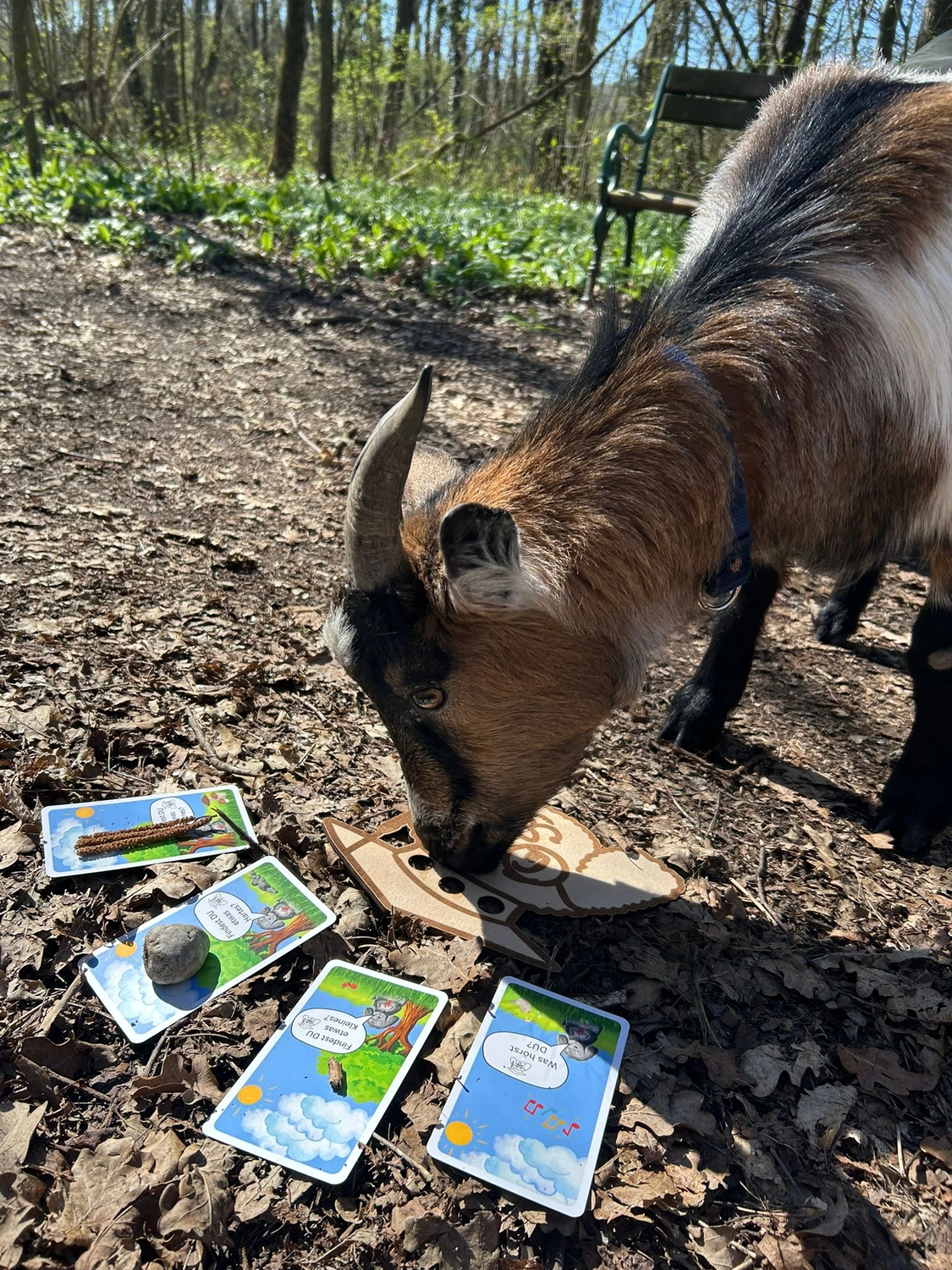 LaKuna Herzenszaubertraining Kurs