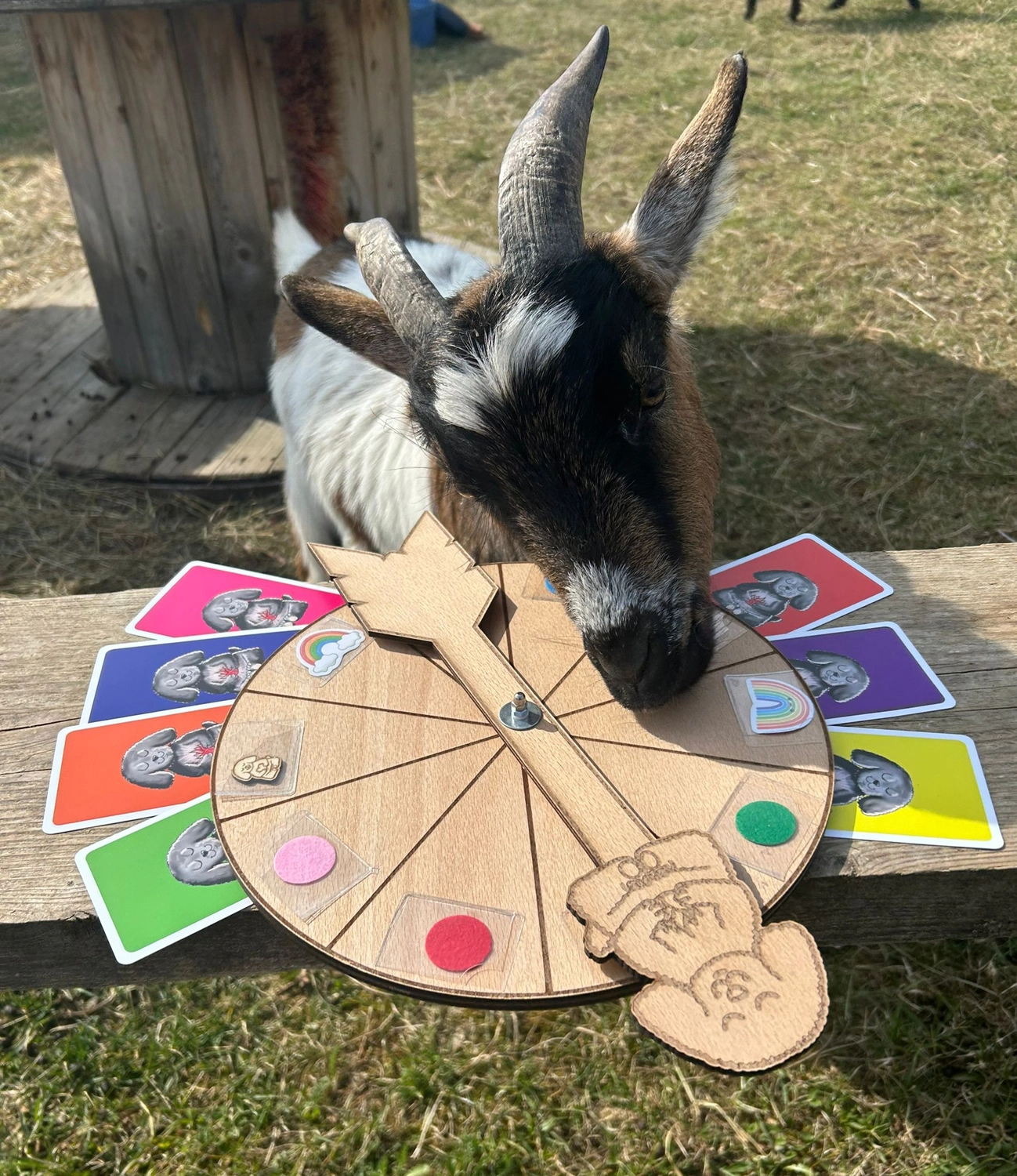 LaKuna Herzenszaubertraining Kurs