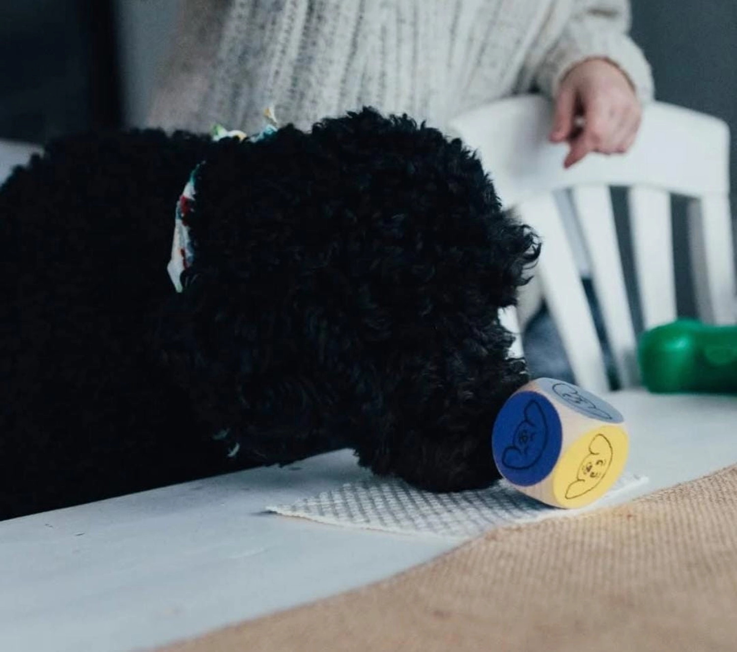 LaKuna Herzenszaubertraining Kurs