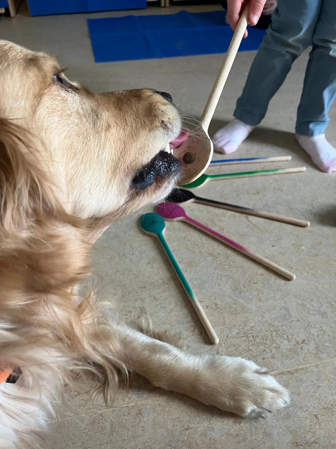 LaKuna Herzenszaubertraining Kurs