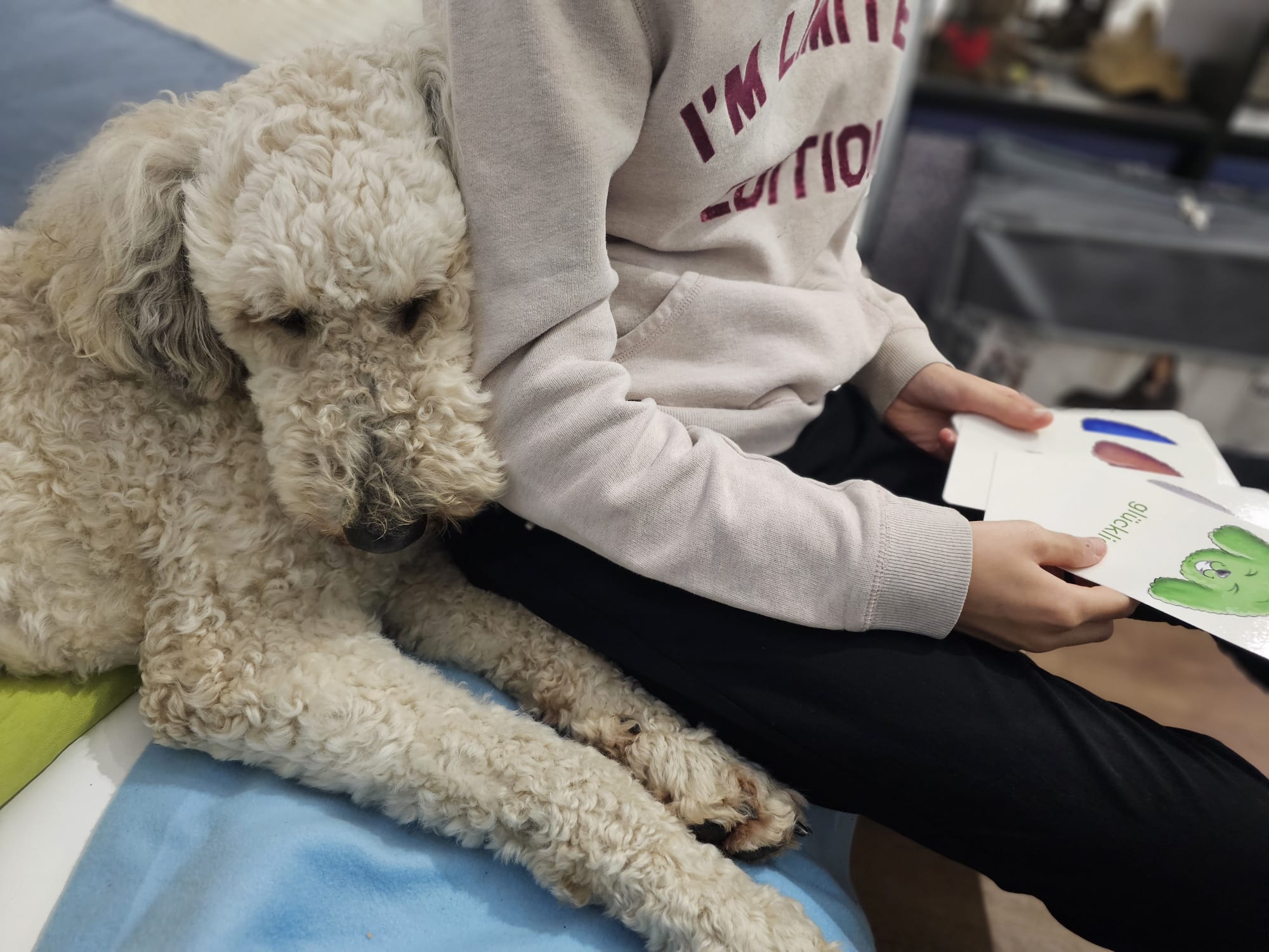 LaKuna Herzenszaubertraining Kurs