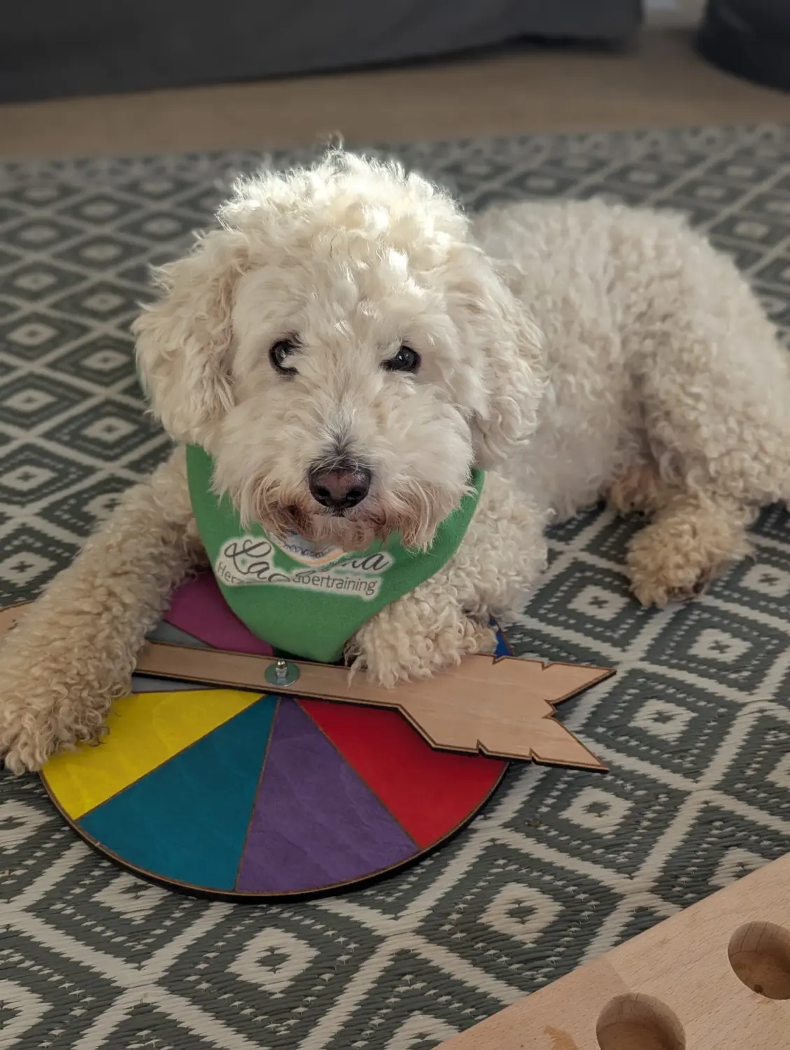 Schallenberg - LaKuna Herzenszaubertraining 